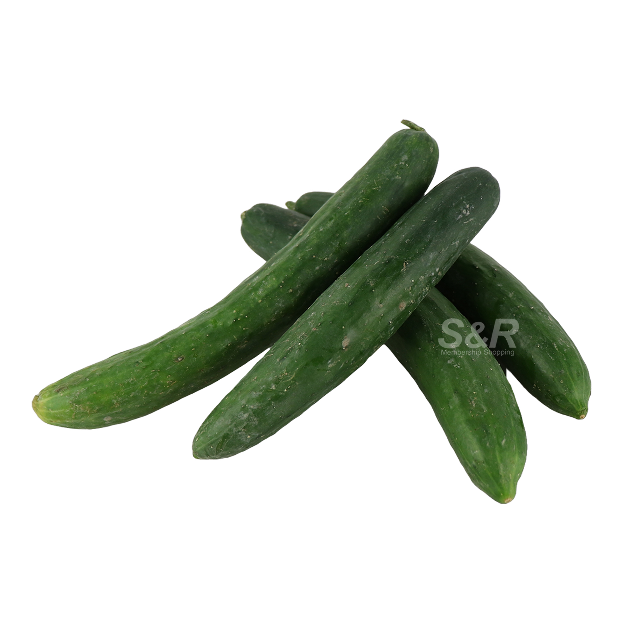 Future Fresh Japanese Cucumber 500g Future Fresh Japanese Cucumber 500g